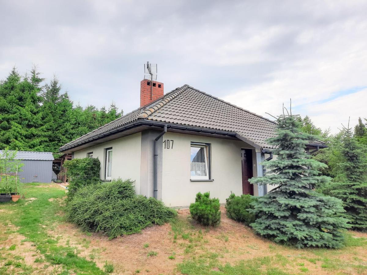 Daglezja Vip Villa Kołczewo Dış mekan fotoğraf
